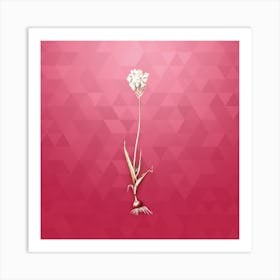 Vintage Chincherinchee Botanical in Gold on Viva Magenta n.0846 Art Print