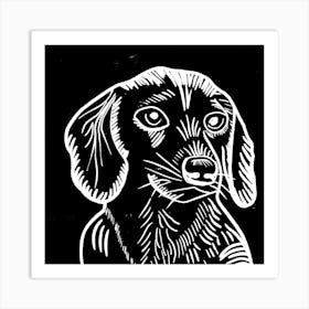 Dachshund Art Print