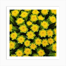 Yellow Flowers 15 Art Print