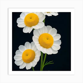 Daisy Art Print