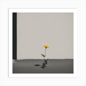 Single Yellow Flower Art Print