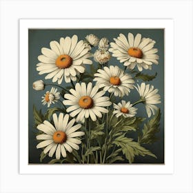 Oxeye Daisy Floral Botanical Vintage Poster Flower Art print 1 Art Print