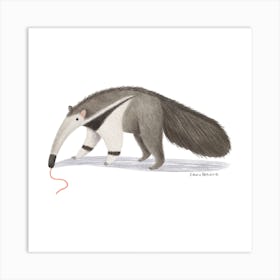 Anteater Art Print