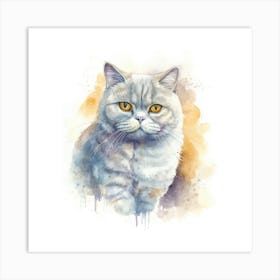 British Shorthair Persian Cat Portrait 3 Art Print