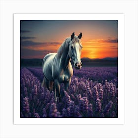 White Horse In Lavender Field At Sunset 1 Art Print