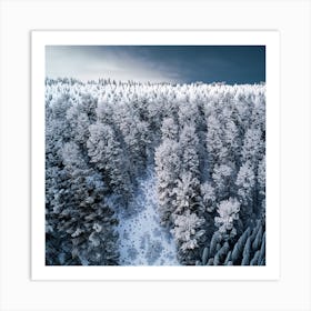 Winter Forest Art Print