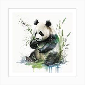 Panda Bear 11 Art Print