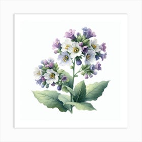 Flower of Lungwort 3 Art Print