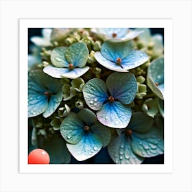 Hydrangeas Art Print