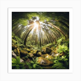 Ferns In The Forest 9 Art Print