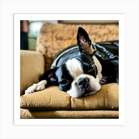 Boston Terrier Sleeping On The Couch (1) Art Print