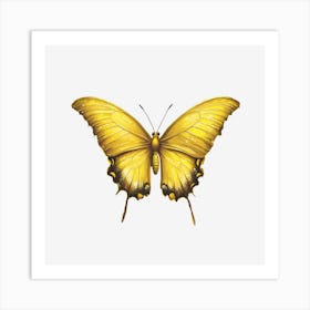 Yellow Butterfly Poster