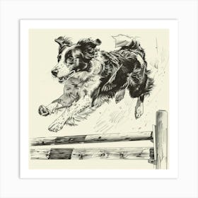 Border Collie Jumping Over A Fence Art Print