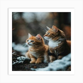 Two Kittens In The Snow Art Print