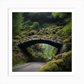 Moss Covered Bridge Art Print