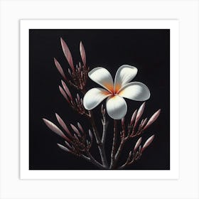 Frangipani 1 Art Print