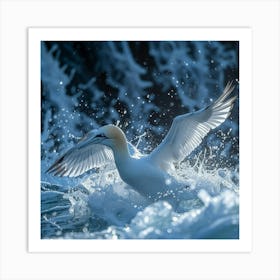 Gannet In Flight 1 Art Print