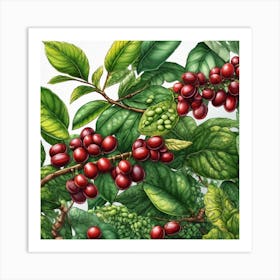 Coffee Berry 1 Art Print