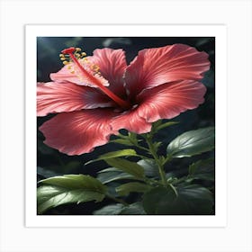 Hibiscus Flower 1 Art Print