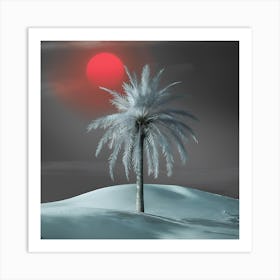 Palm Tree In The Snow Art Print