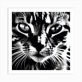 Black And White Cat 7 Art Print