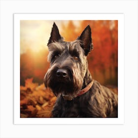 Scottish Terrier Art Print