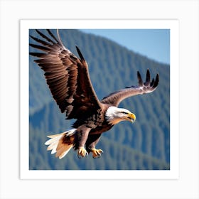 Bald Eagle In Flight Art Print