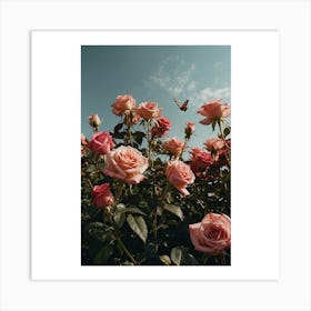 Pink Roses Art Print