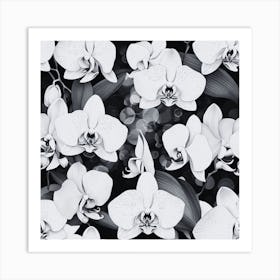 Orchids On Black Background Art Print