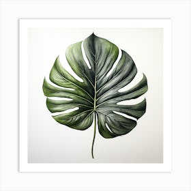 Monstera Leaf Art Print