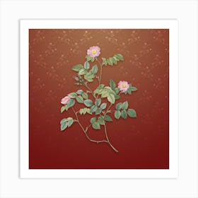 Vintage Sweetbriar Rose Botanical on Falu Red Pattern Art Print