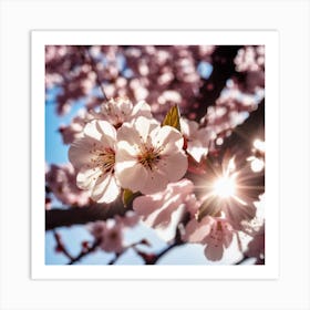 Cherry Blossoms Art Print