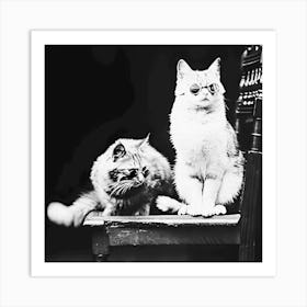 Cats Wearing Sunglasses, Vintage Black and White Old Photo Art Print