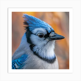 Blue Jay Art Print