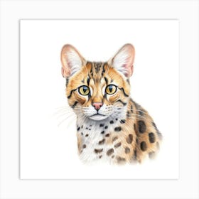 Asian Leopard Cat Portrait Art Print