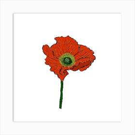 Red Poppy Art Print