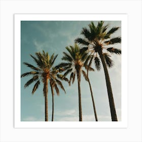 Default Palm Trees In Art Print 2 Art Print