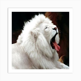 White Lion Art Print