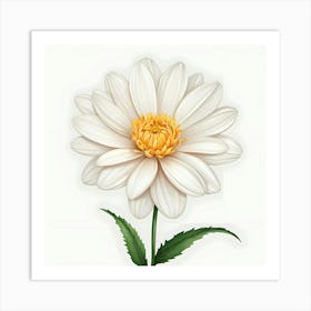 White Daisy 1 Art Print