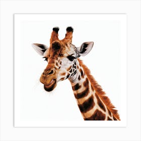 Giraffe 2 Art Print