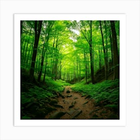 Firefly Emerald Green Forest Enhances Green Tones For Lush, Vibrant Foliage 2 Art Print