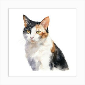 Japanese Bobtail Cat Portrait 1 Art Print