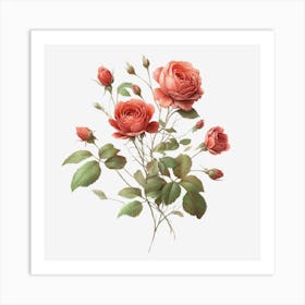 Rose Flower Art Print