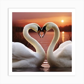 Swans At Sunset Art Print