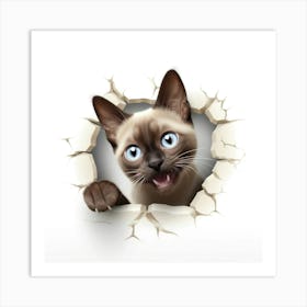 Siamese Cat 1 Art Print