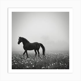 Black Horse In A Foggy Field 2 Art Print