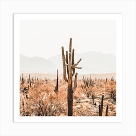Cactus Desert Landscape Square Art Print
