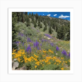 Wildflowers In The Mountains Art Print