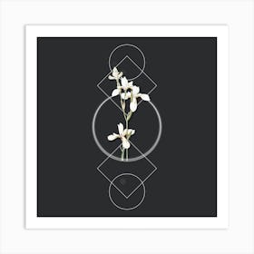 Vintage Siberian Iris Botanical with Geometric Line Motif and Dot Pattern n.0004 Art Print