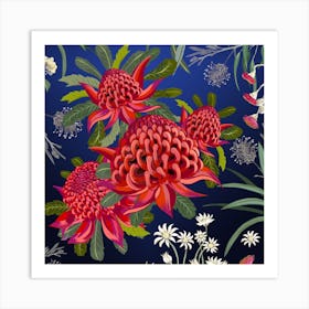 Waratah Australian Flower Red Square Art Print